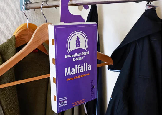 Mottenfalle (Kleidung & Pelz Motten) - Klebefalle